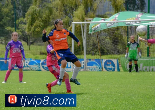 淘金娱乐城官网APP 封面图